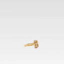 ANILLO B PRECIOUS